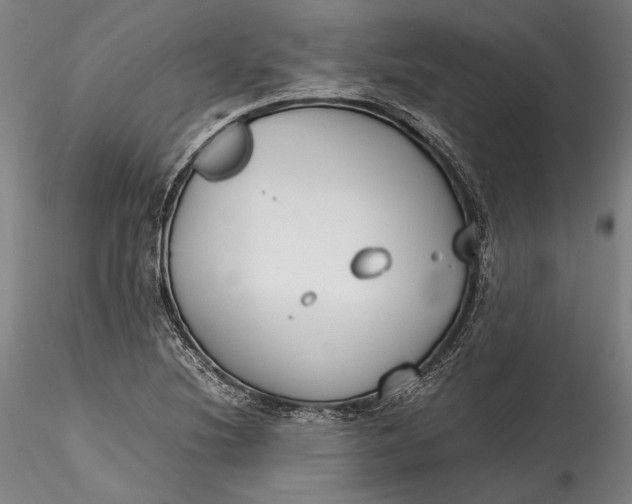 X0000115781220200911271157