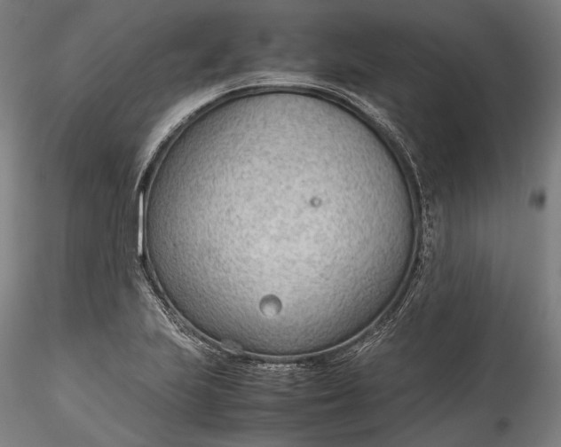 X0000115781223200911271157