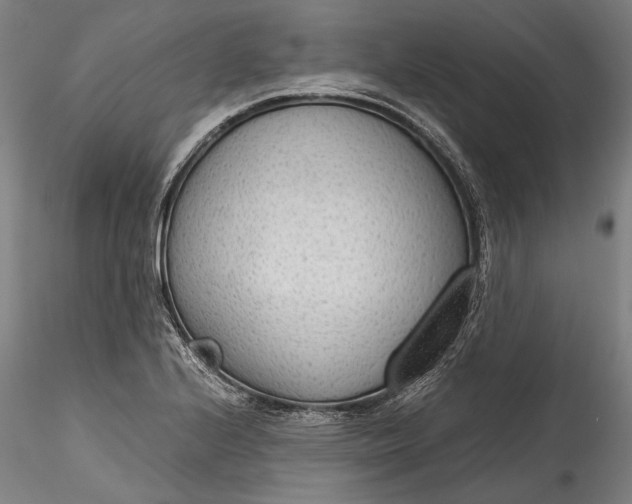 X0000115781224200911271157