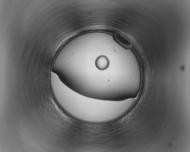 X0000115781225200911271157