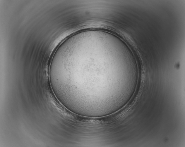 X0000115781226200911271157