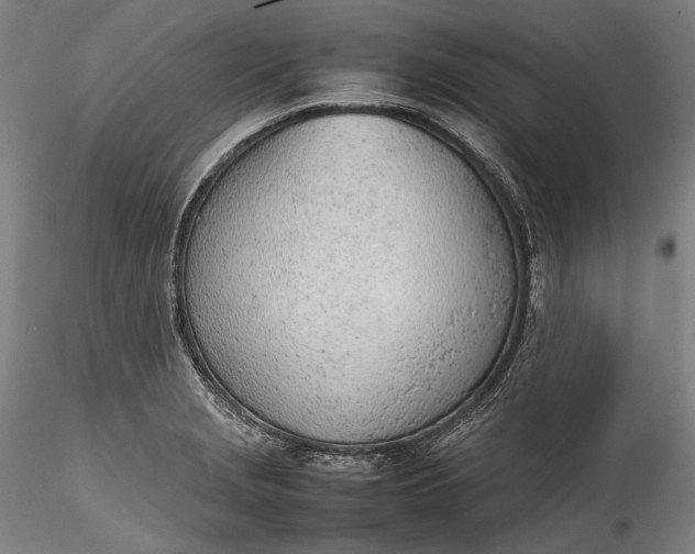 X0000115781229200911271157