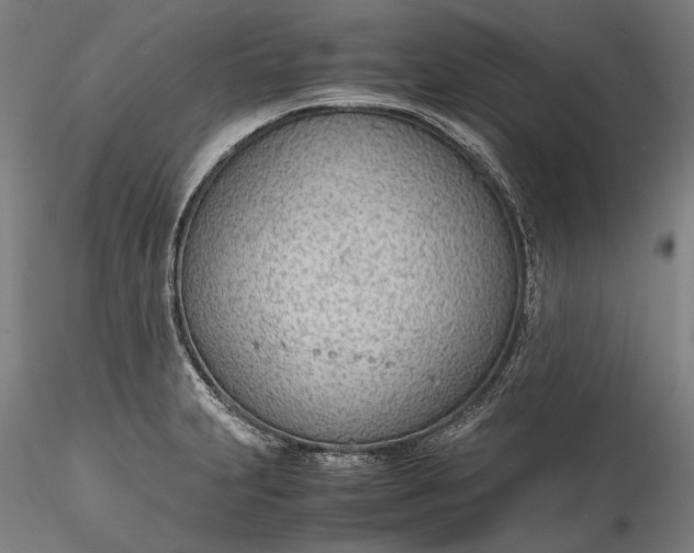 X0000115781231200911271157