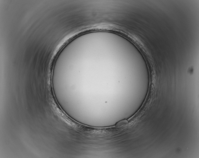 X0000115781232200911271157