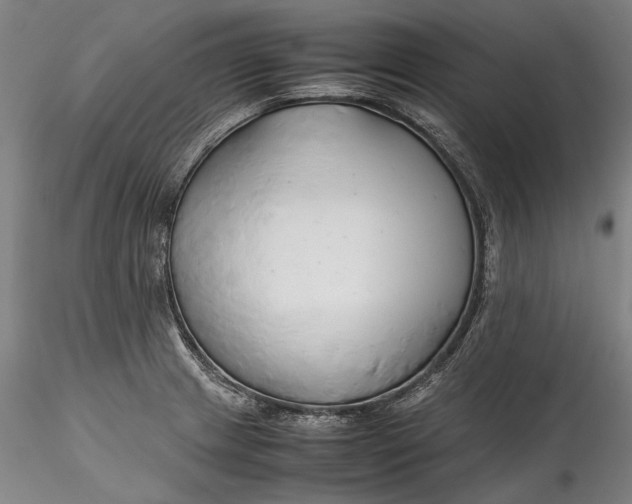 X0000115781233200911271157