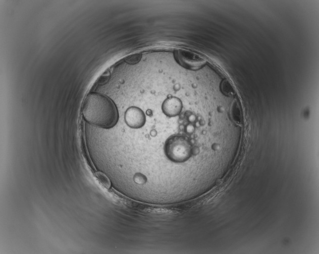 X0000115781235200911271157