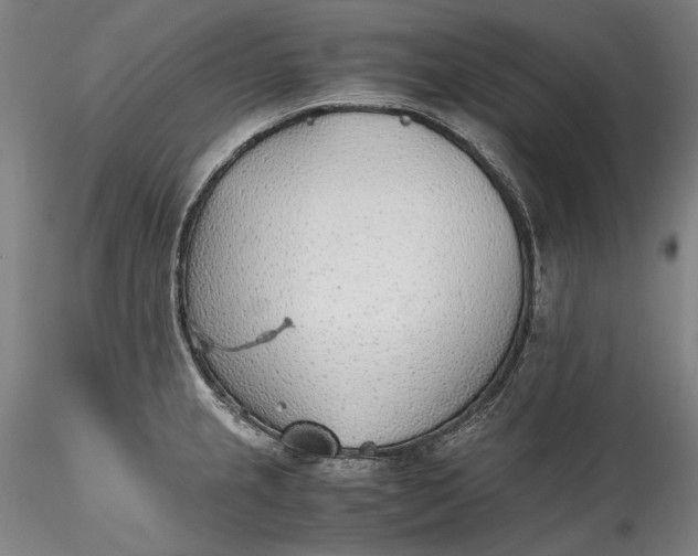 X0000115781237200911271157