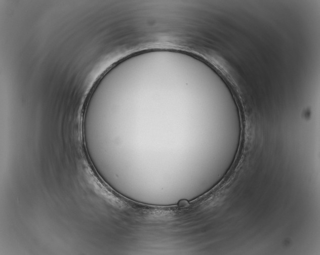 X0000115781238200911271157