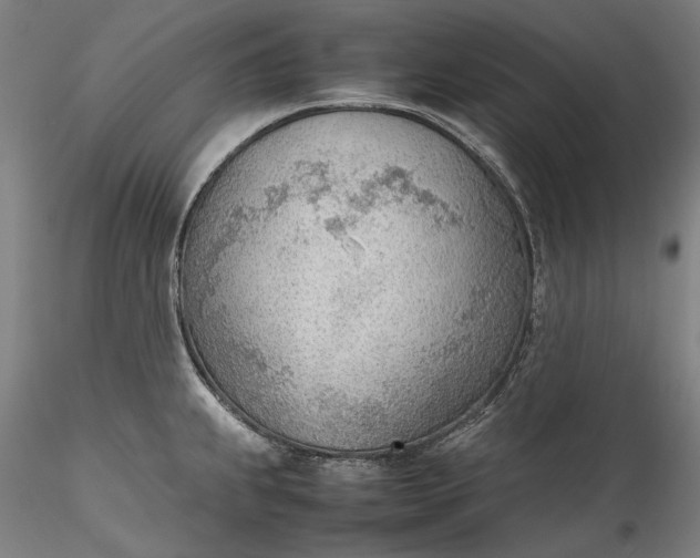 X0000115781239200911271157