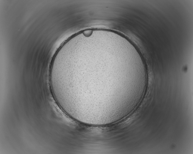 X0000115781240200911271157