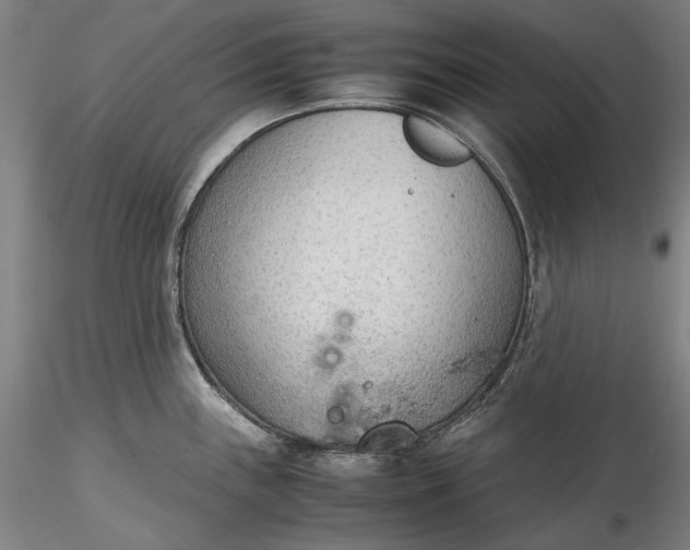 X0000115781243200911271157