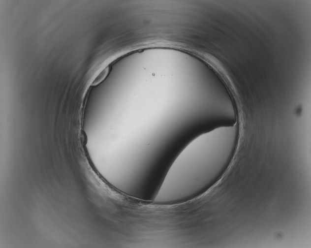 X0000115781244200911271157