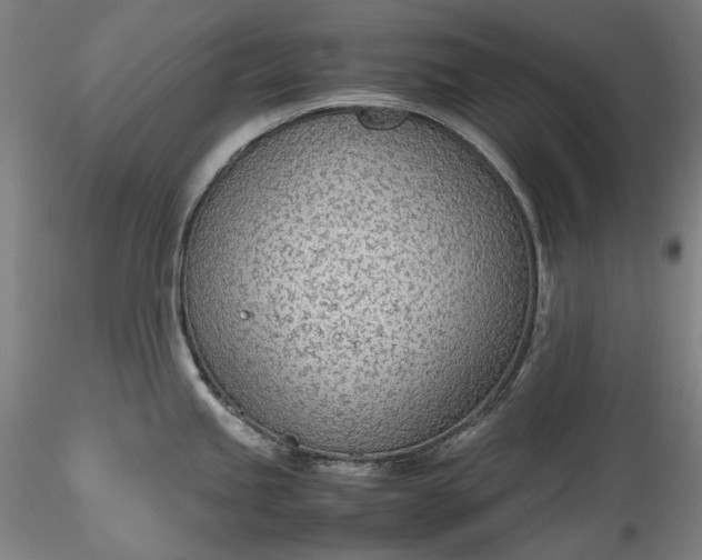 X0000115781245200911271157