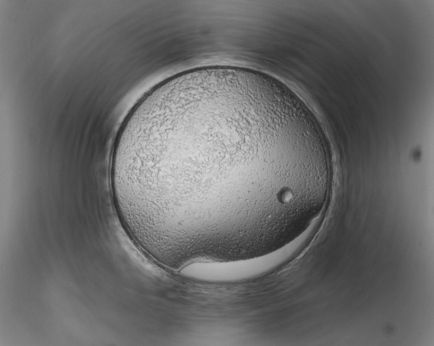 X0000115781246200911271157