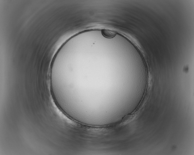 X0000115781247200911271157