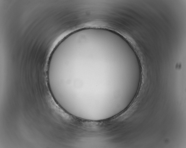 X0000115781248200911271157