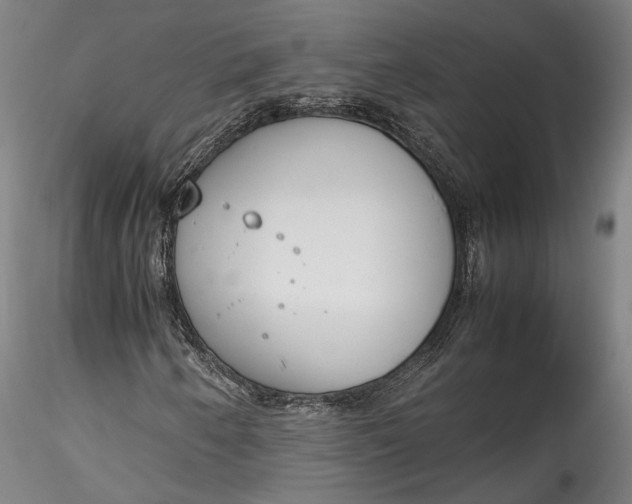 X0000115781250200911271156