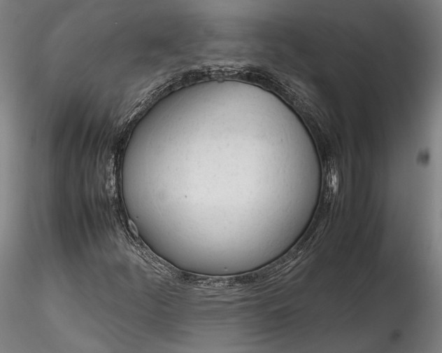 X0000115781252200911271156