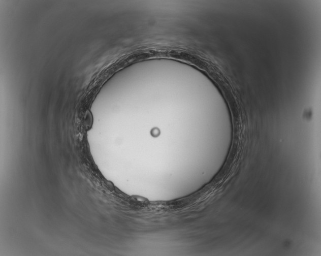 X0000115781253200911271156