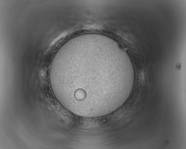 X0000115781254200911271156