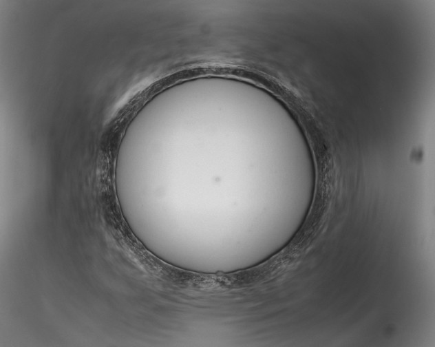 X0000115781255200911271156