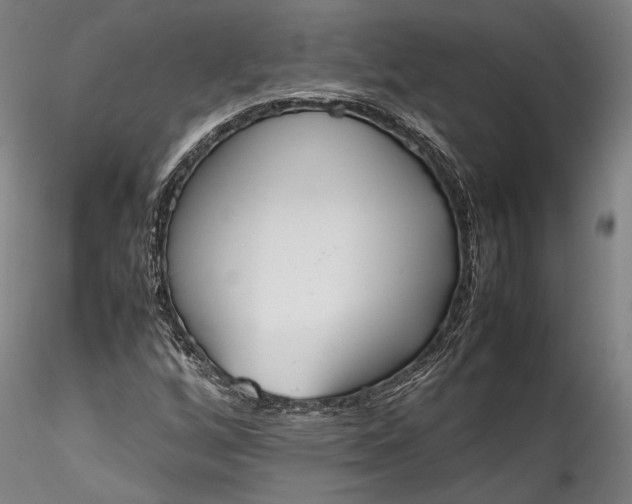 X0000115781256200911271156