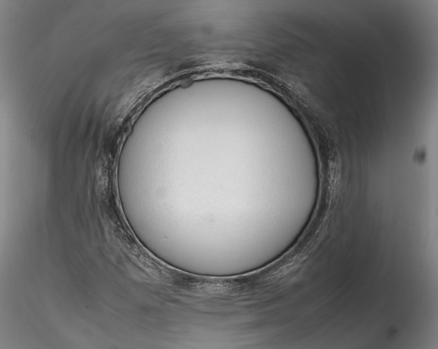 X0000115781257200911271156