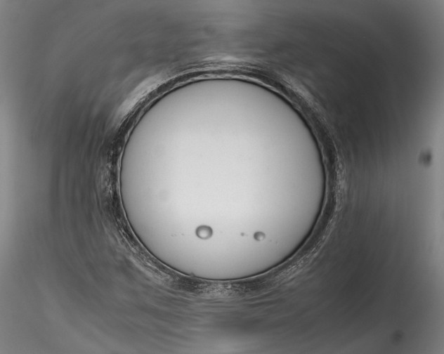 X0000115781259200911271156