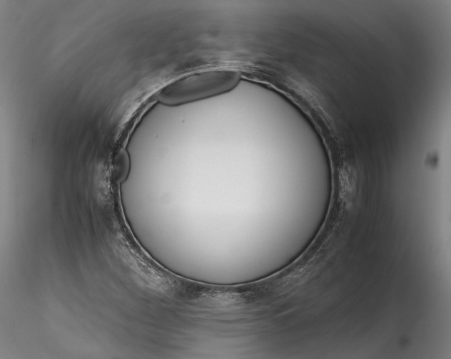 X0000115781260200911271156