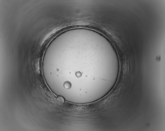 X0000115781262200911271156