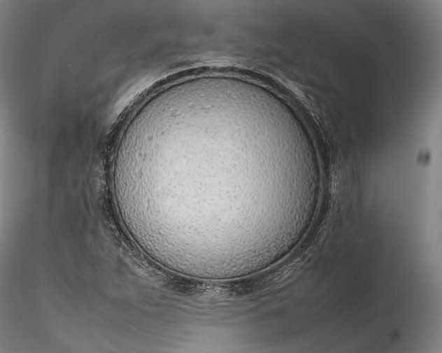 X0000115781263200911271156