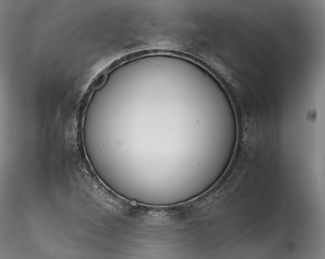 X0000115781264200911271156