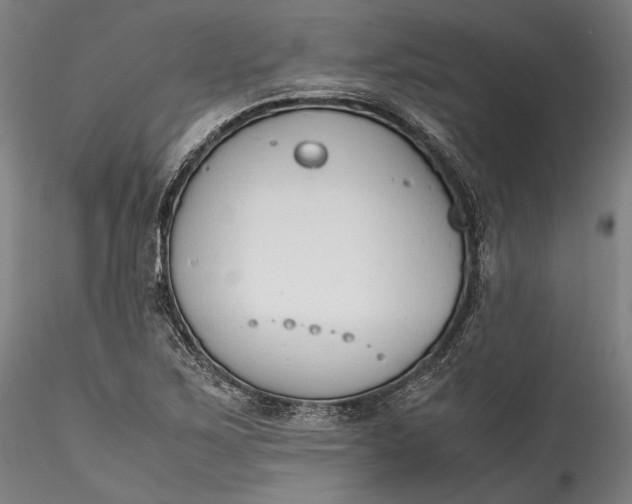 X0000115781267200911271156