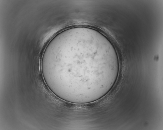 X0000115781269200911271156