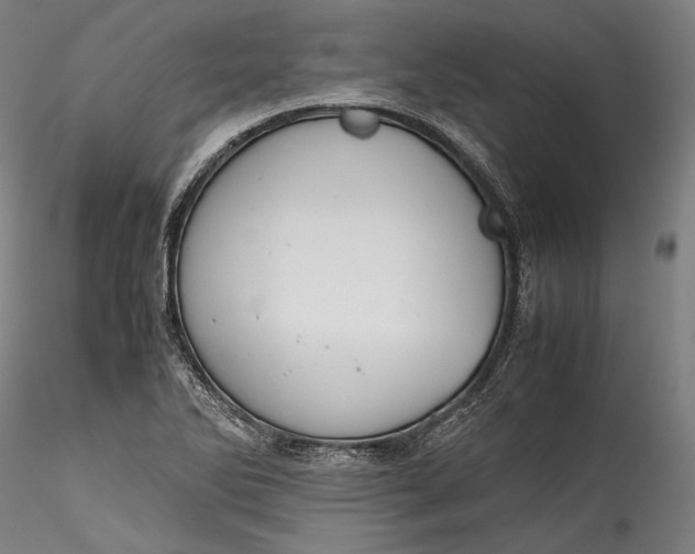 X0000115781270200911271156