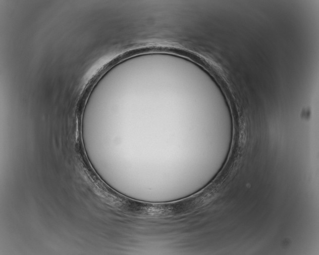 X0000115781271200911271156