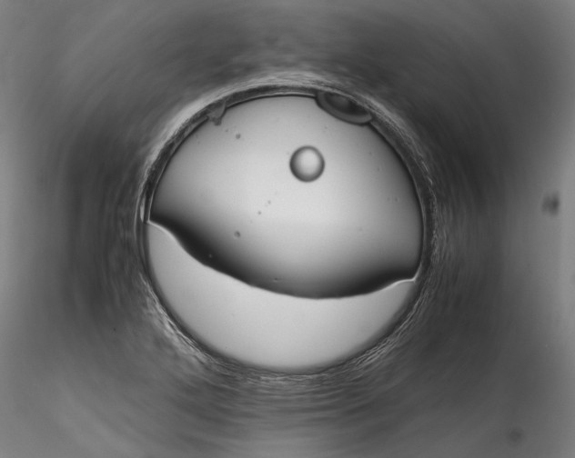 X0000115781272200911271156