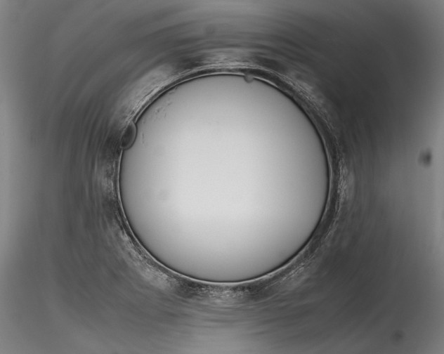 X0000115781273200911271156