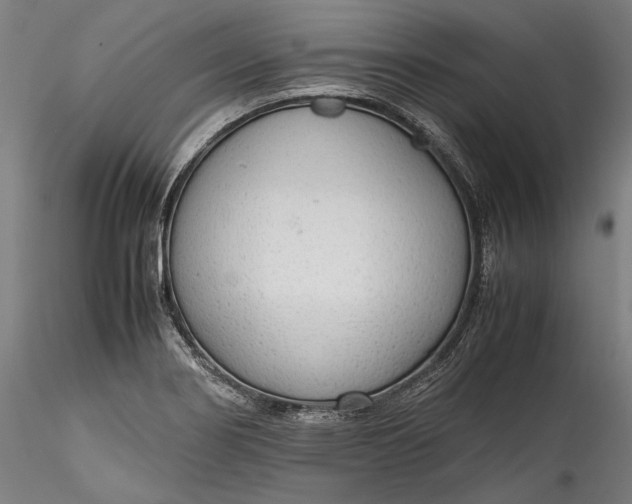 X0000115781274200911271156