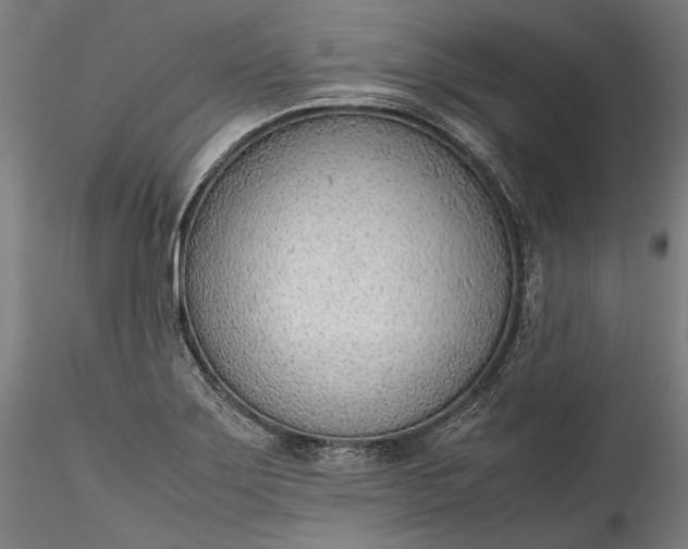 X0000115781275200911271156