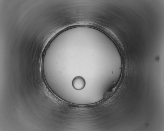 X0000115781276200911271156