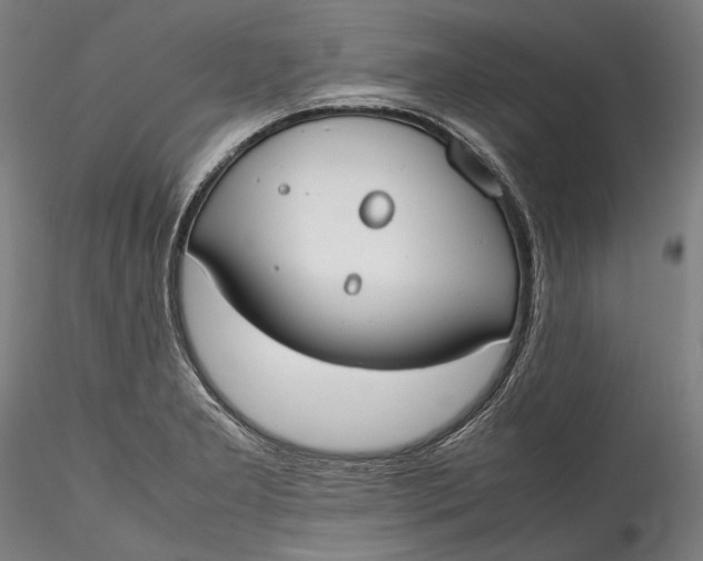 X0000115781277200911271156