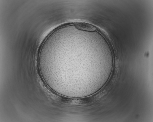 X0000115781279200911271156