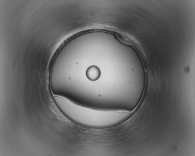 X0000115781280200911271156