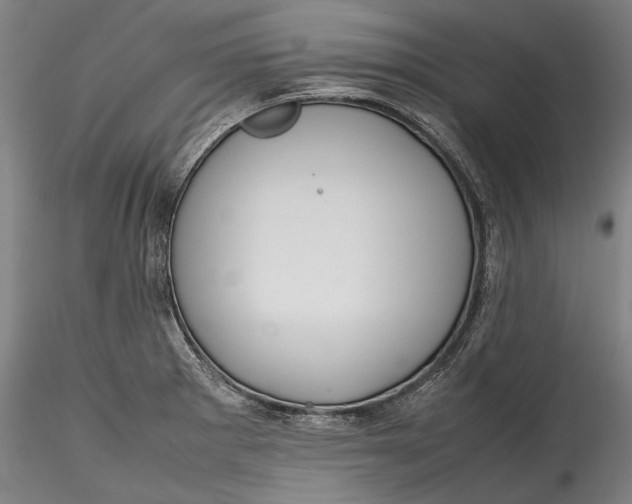 X0000115781281200911271156