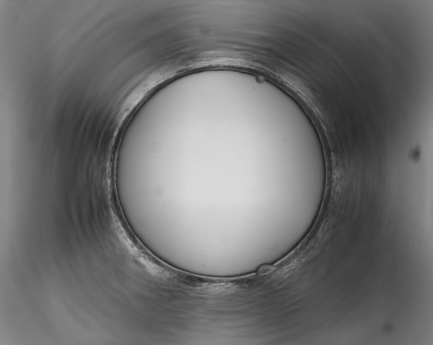 X0000115781282200911271156