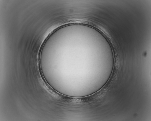 X0000115781283200911271156