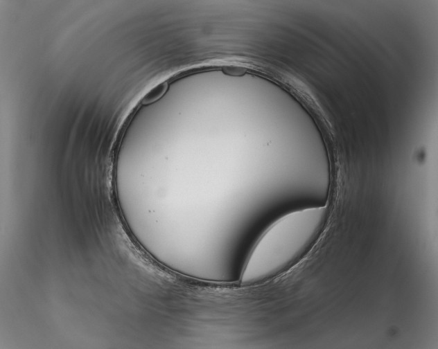 X0000115781284200911271156