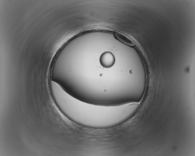 X0000115781285200911271156