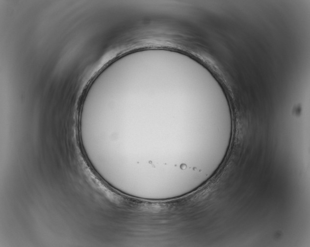 X0000115781286200911271156